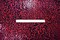 Red-Black Poly Velvet Flock Cheetah Print Sequin Stretch Knit Fabric By the Yard